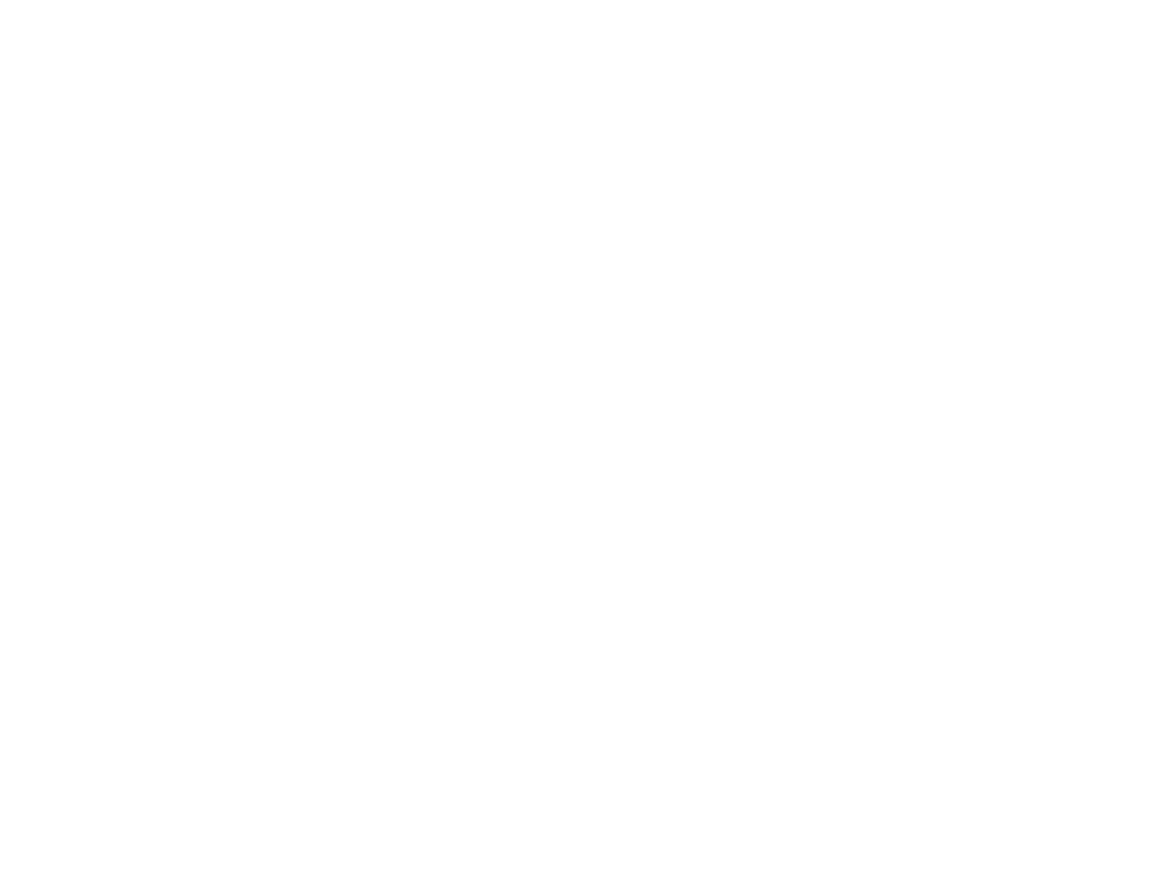 Prime Focus StudiosLogo